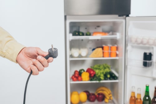 Cropped view of man holding unplugged power cord of fridge