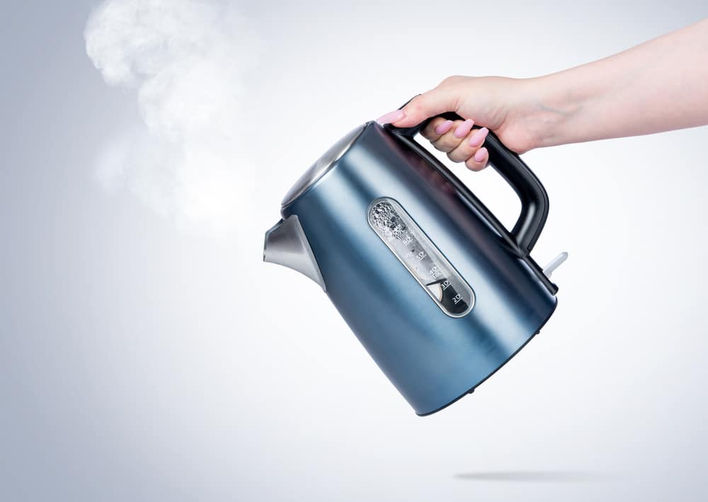 Female hand holds an electric kettle