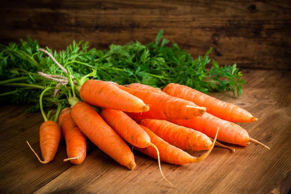 Fresh carrots bunch on rustic wooden background