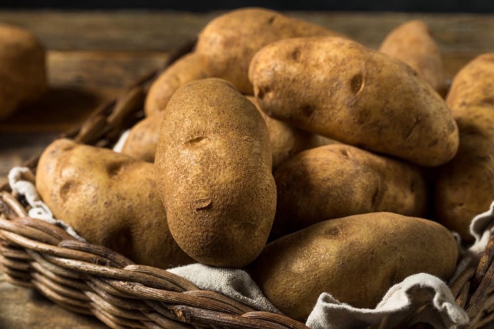 Raw Borwn Organic Russet Potatoes Ready to Cook