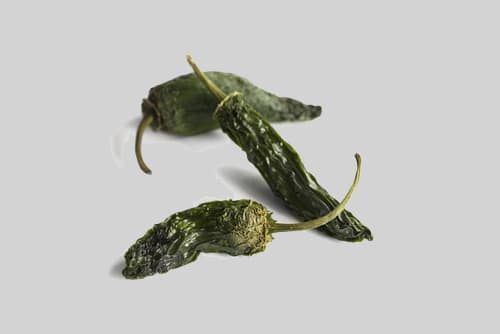 Three rotten jalapeno peppers