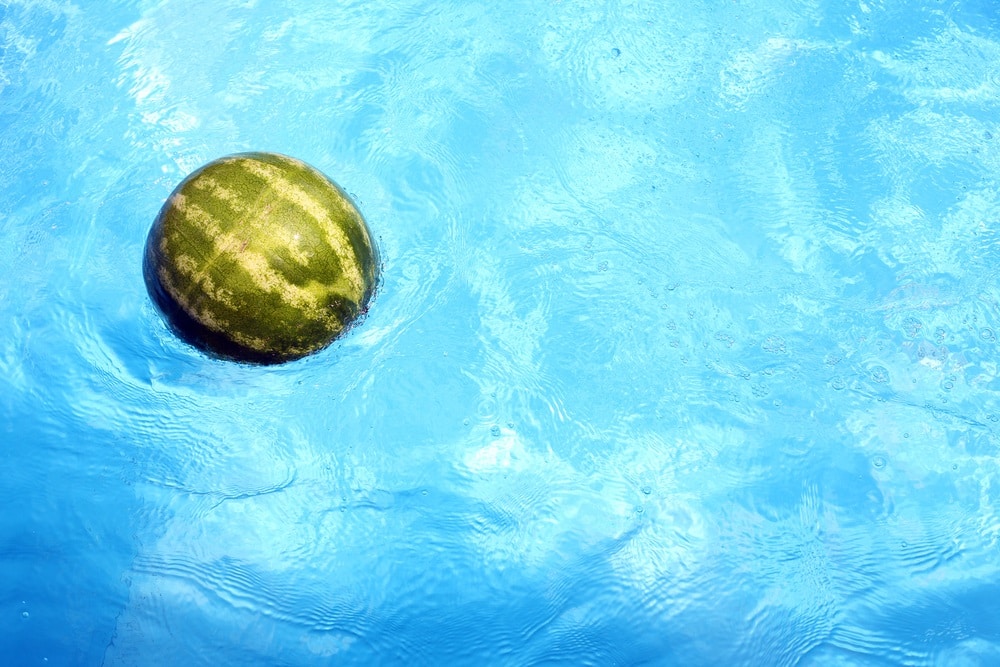 Watermelon in clear blue water