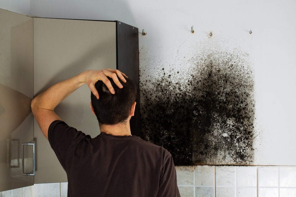 Man shocked to mold a kitchen cabinet