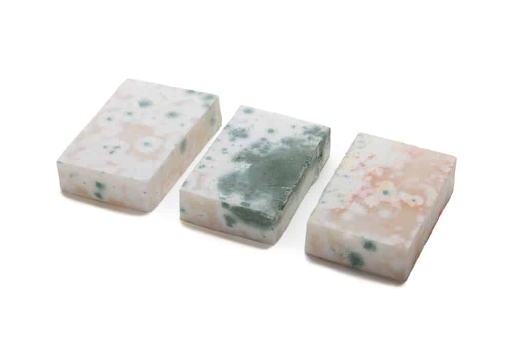 Mold covers mochi rice cake