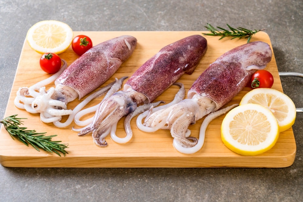 squids raw