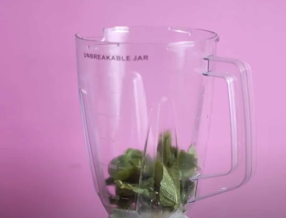 add mint to blender