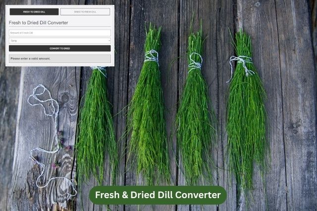 Fresh and Dried Dill Converter