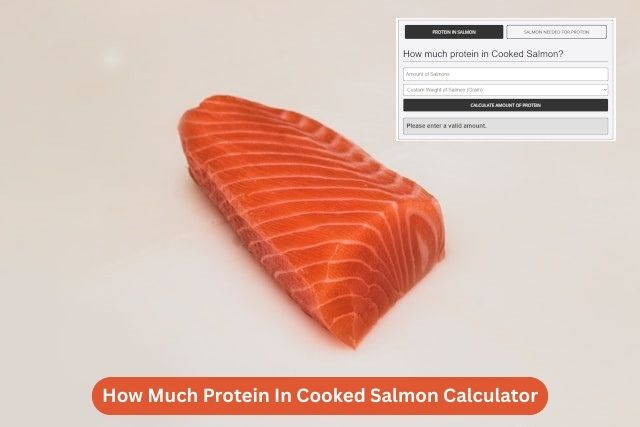 How Much Protein In Cooked Salmon Calculator