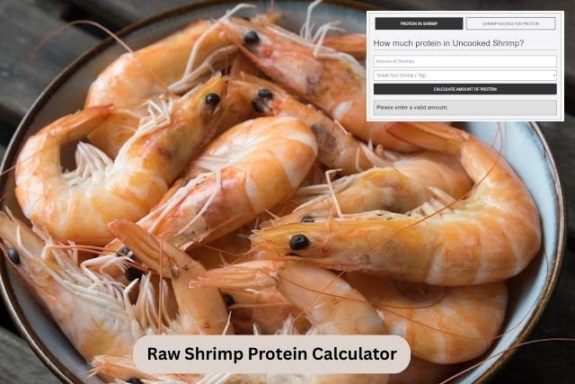 Raw Shrimp Protein Calculator