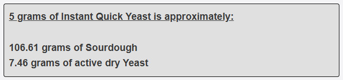 5 grams of Instant Quick Yeast is approximately