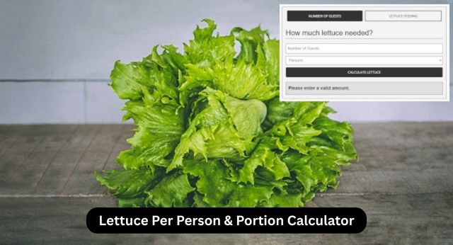 Lettuce Per Person and Portion Calculator