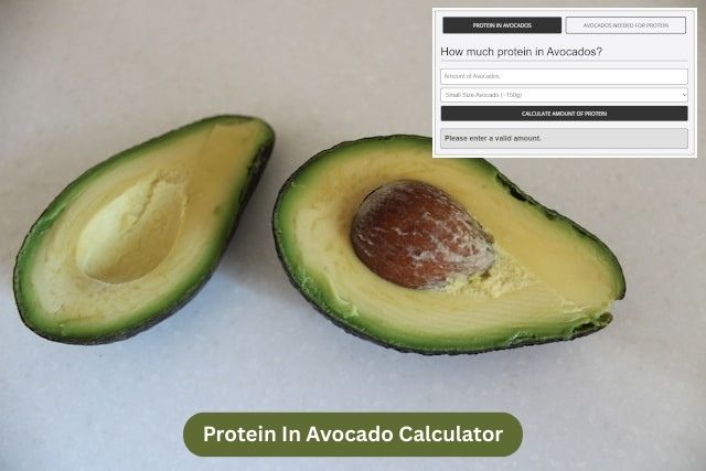 Protein In Avocado Calculator