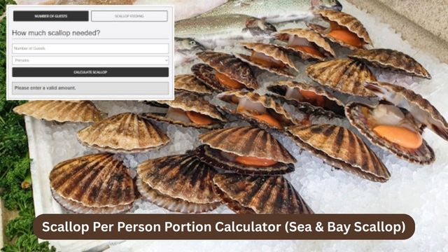 Scallop Per Person Portion Calculator (Sea & Bay Scallop)