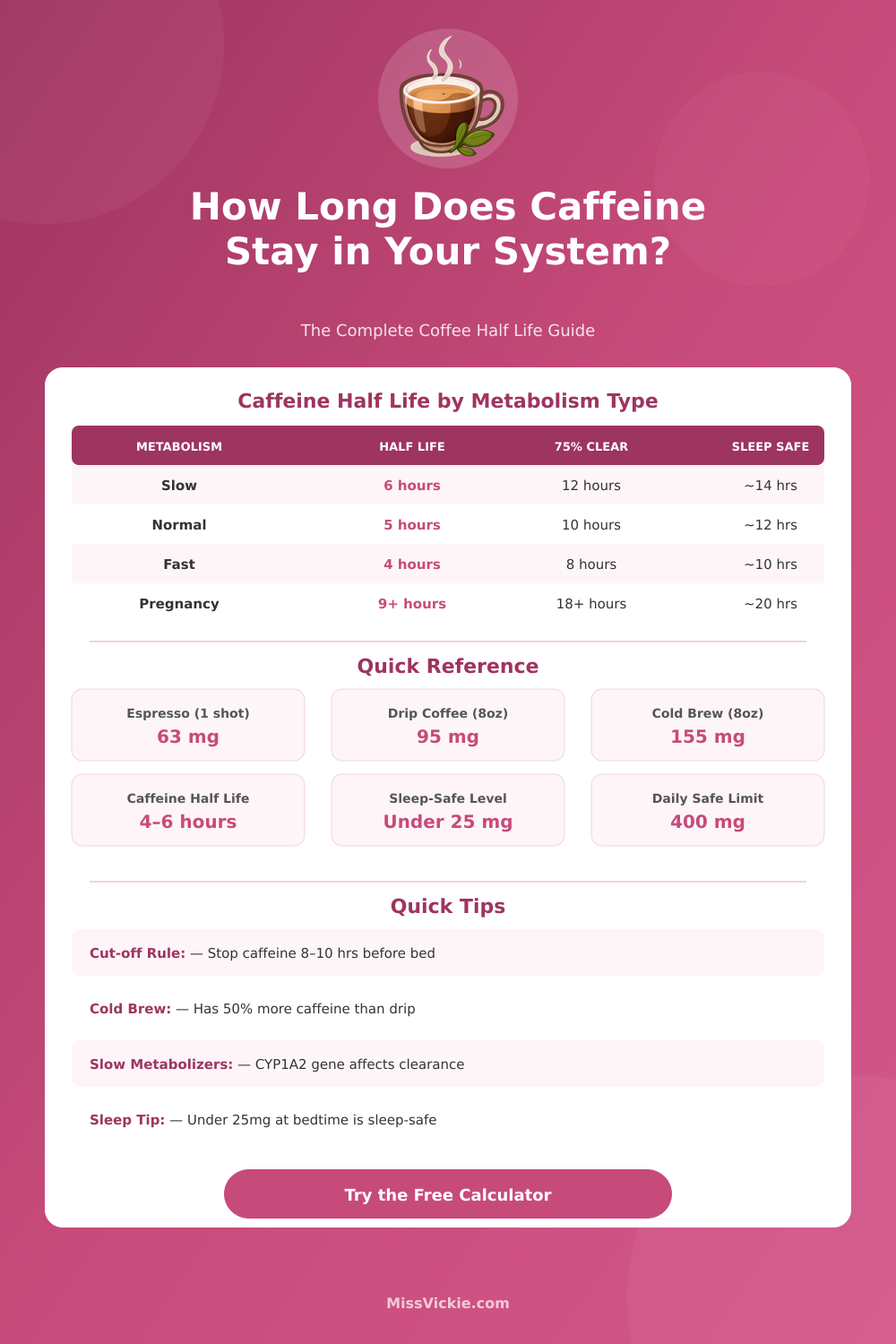 Coffee Half Life Calculator: Caffeine in Your System