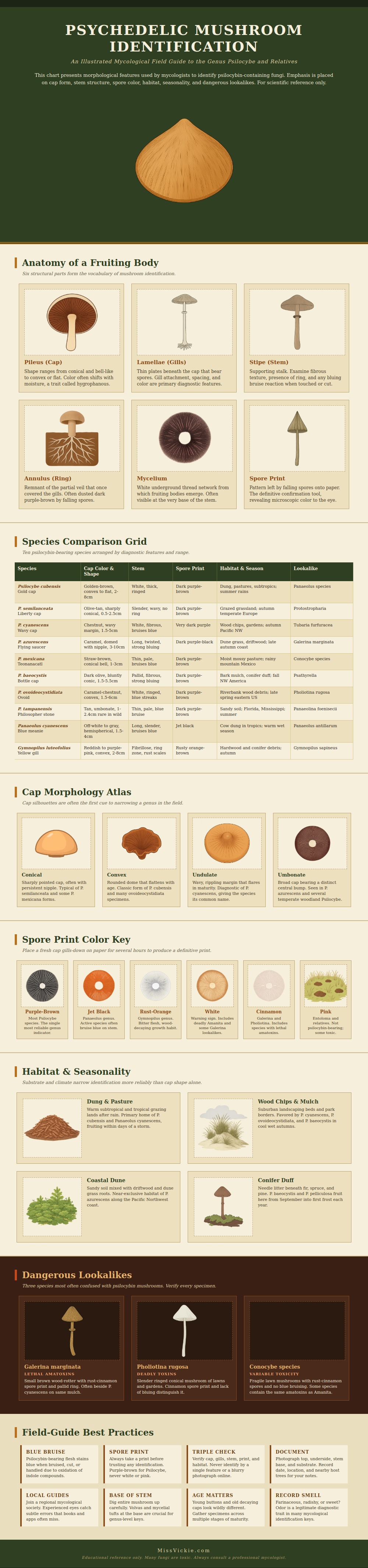Psychedelic Mushroom Identification Chart