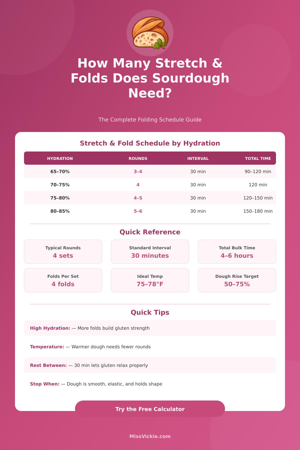 Stretch and Fold Sourdough Calculator: Timing & Rounds Guide