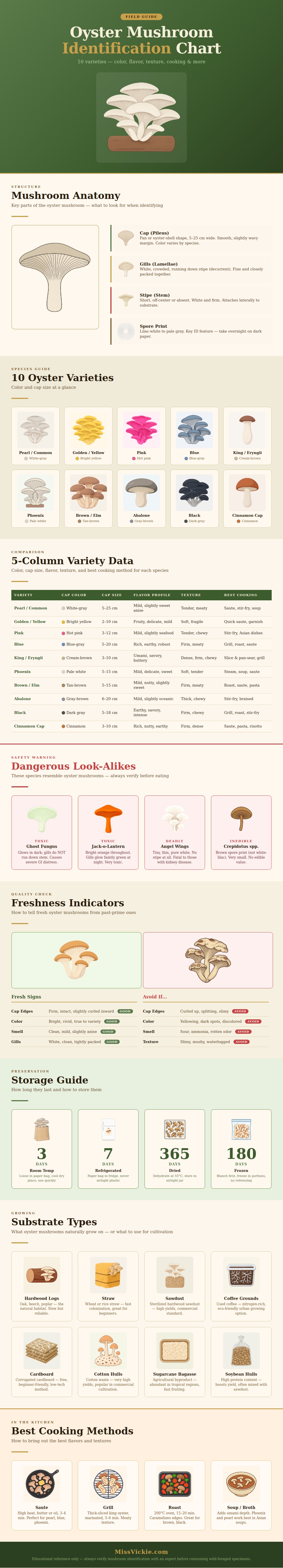 Oyster Mushroom Identification Chart