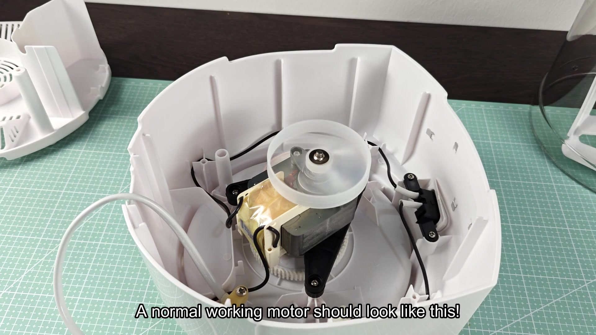 Motor impeller blades spinning correctly Motor impeller blades spinning correctly