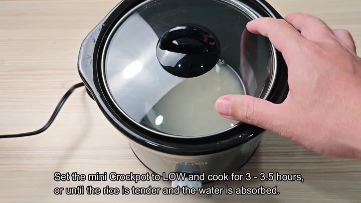 Cover the mini Crockpot slow cooker Cover the mini Crockpot slow cooker