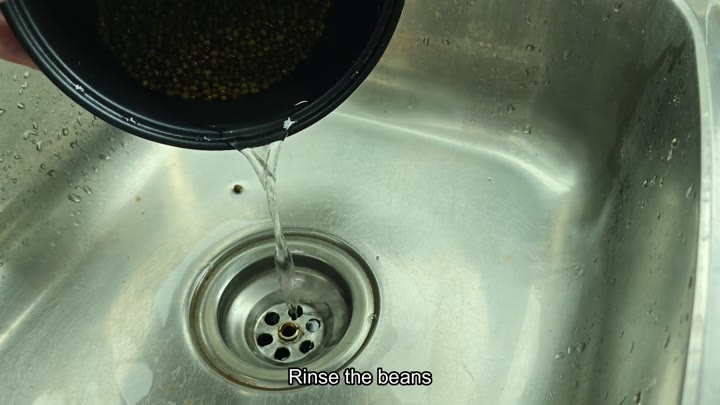 Draining rinsed mung beans in sink Draining rinsed mung beans in sink